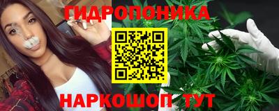 прущие крисы Гусиноозёрск