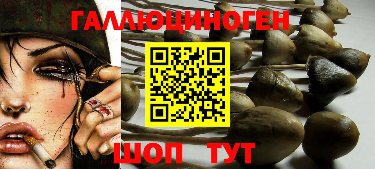Галлюциногенные грибы Psilocybine cubensis  Псилоцибиновые грибы Magic Shrooms  Жигулёвск  Вход с VPN 
