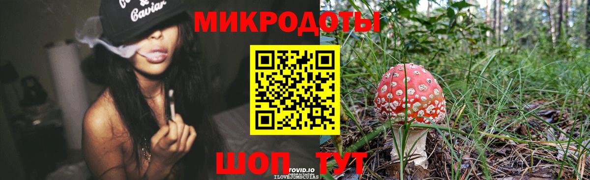 Псилоцибиновые грибы Psilocybe Жигулёвск
