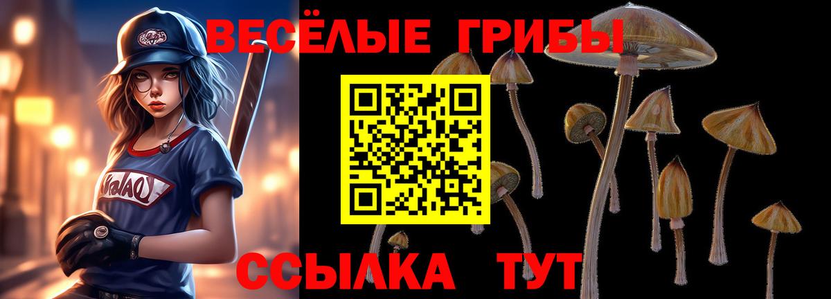 Галлюциногенные грибы MAGIC MUSHROOMS  Галлюциногенные грибы мухоморы  Жигулёвск 